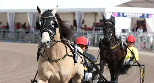 I skuggan av Tekno Odin