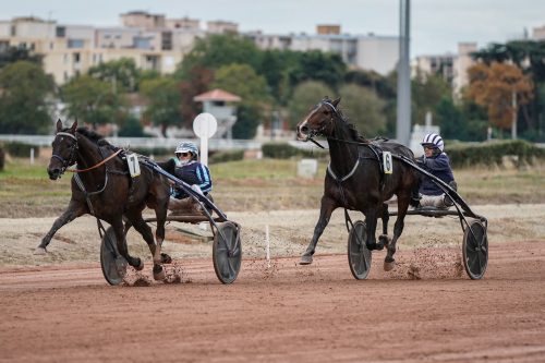 Abrivard bjöds på seger