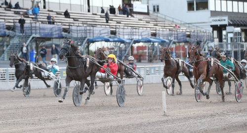 Revanschjakt i Småland