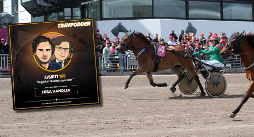 Podd: ”Kolgjinis är i konstant opposition”