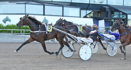 Käraste med rätt sisu