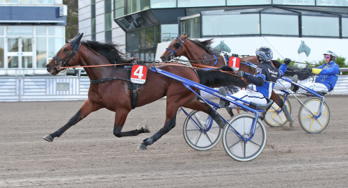 Elitloppshelgen: De är först ut!
