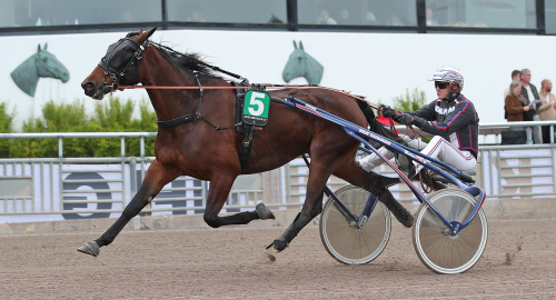 Hjärtat på rätt ställe