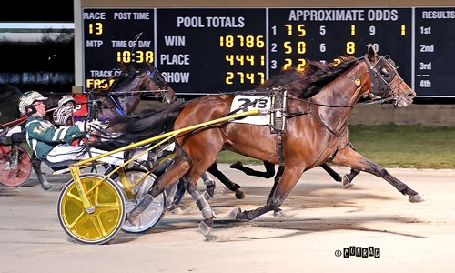 Hillexotic från spets