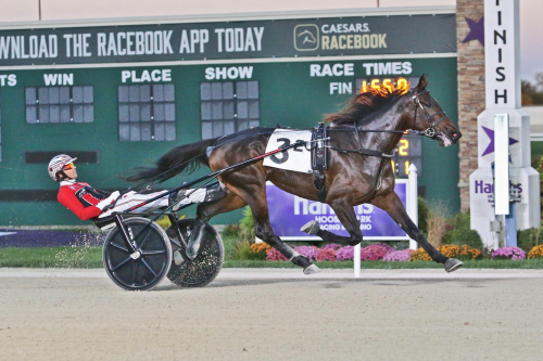 Jiggy Jog dollarmiljonär?