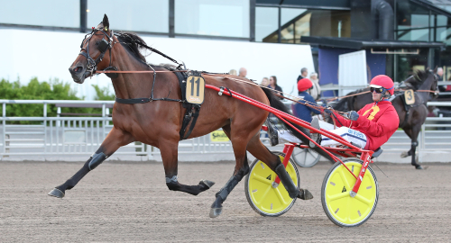 Treåringar med revanschlusta