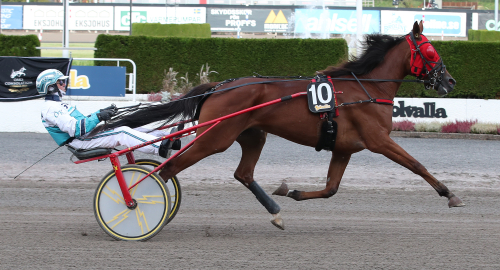 Fyraårig valack dyrast