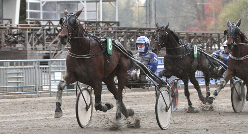 I topp med 14 vinster