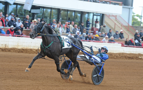 Mycket svenskt i BC-försök