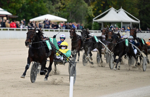 Elite Circuit 2024 spikat