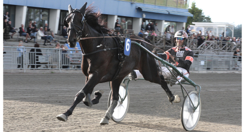 Inför V86: ”Fler som vill vinna”