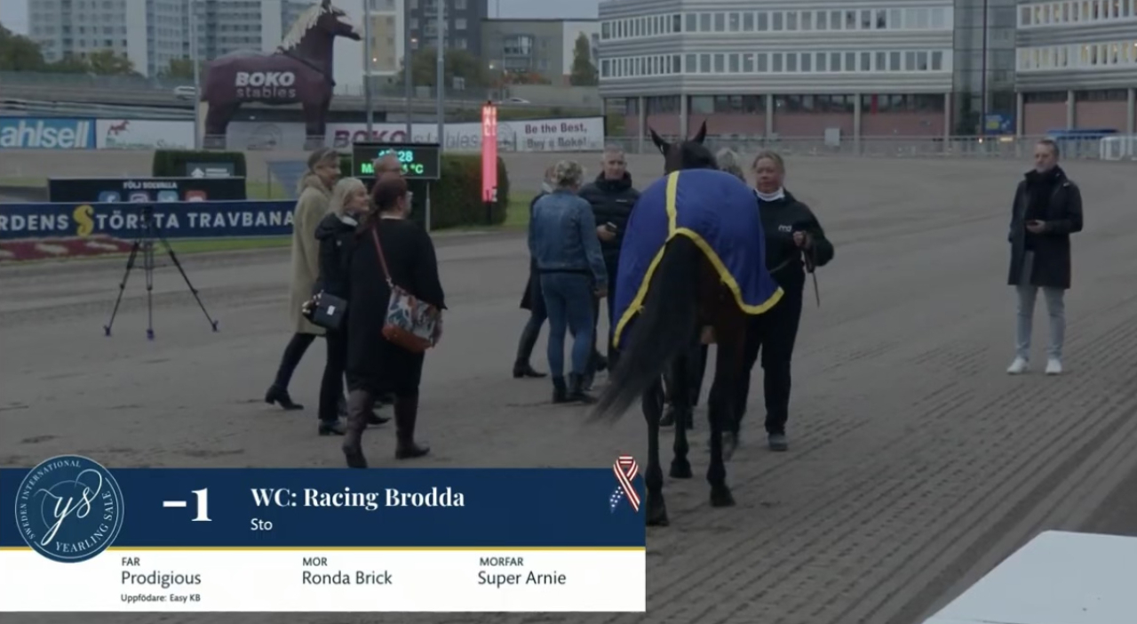 Racing Brodda såldes ikväll för 600.000 kronor.