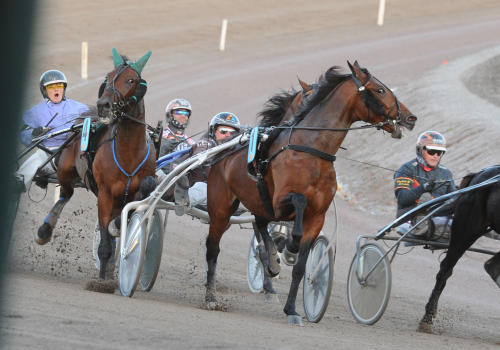 Ett obegripligt beslut