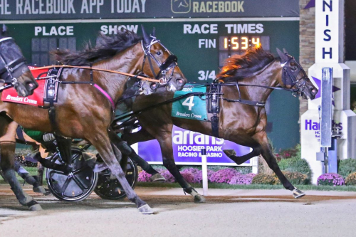 Sjätte BC-titeln för Svanstedt