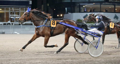 Inför V75: Elitloppshäst i skymundan