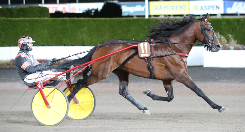 ”Vilken jäkla häst!”