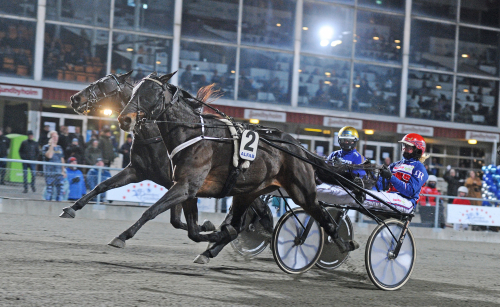 Inför V75: Ljummen uppesittarkväll