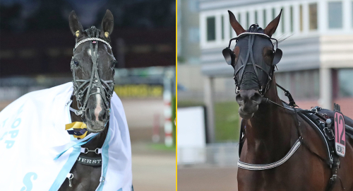 Toppston tar olika vägar