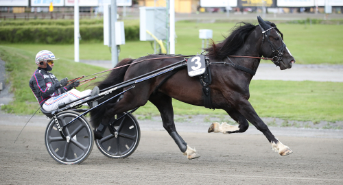 V86: Dubbla roller – dubbla chanser