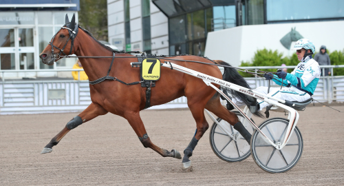 Midnattskung i Kramfors