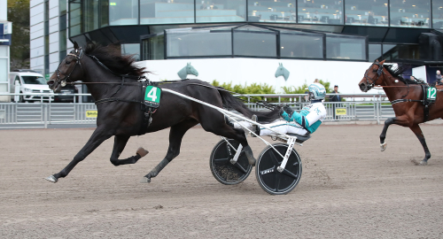 1.10-fart i snöyran