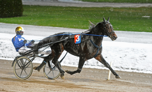 Kvalade på 1.15-tid