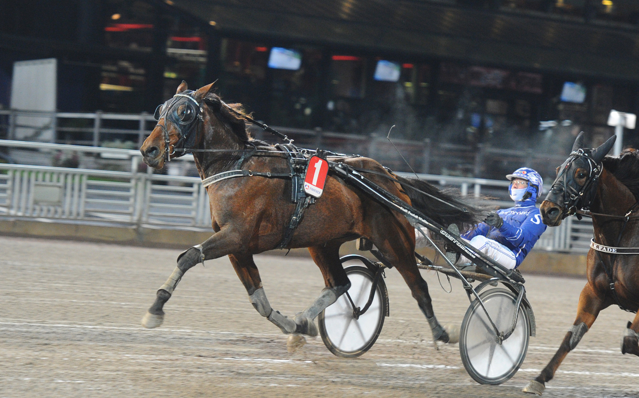 Matchmadeinheaven var en av försöksvinnarna i Svensk Uppfödningslöpning på Solvalla. Foto: Adam Ström/stalltz.se