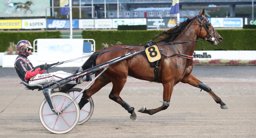 V75-tips: Enkelprocent rena rånet!