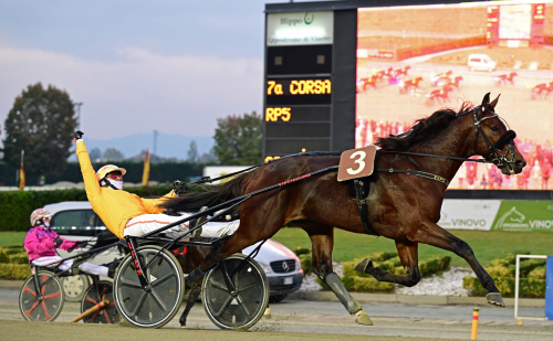 Storslam för Gocciadoro