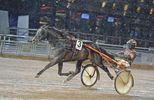 S.G. Dracarys revansch