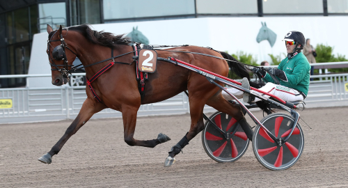 V75-tips: ”Bortglömda drag”