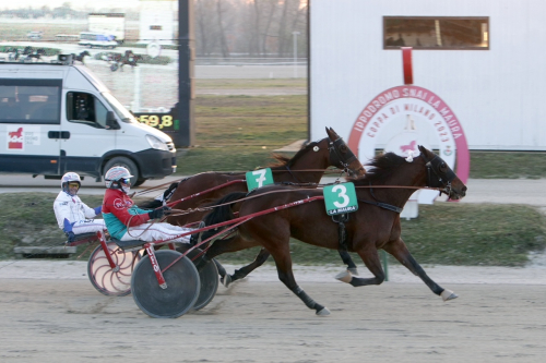 Finalgalopp för Beads