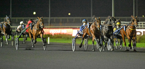 Femte raka för topphäst
