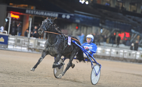 Vinterkung åter efter operation