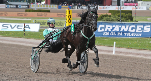 V75-tips: Hemmahopp i topp