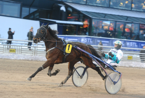 Sjöström siktar mot stjärnorna