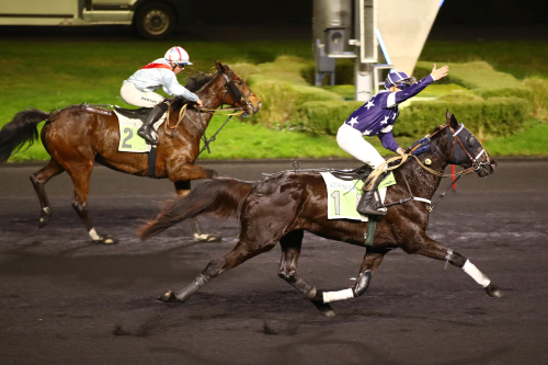 Skräll imponerade under sadel