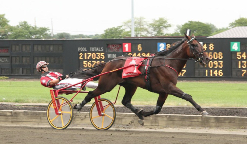 Hambovinnarens mor död