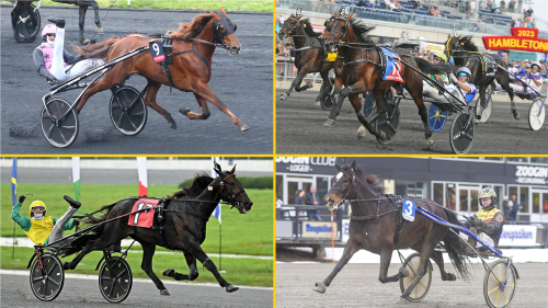 Sju utrikestoppar vi minns