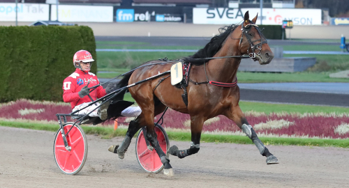 V75: De trotsade startspåren