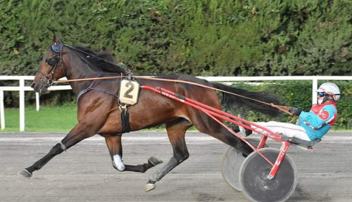 Bjuds ut i avel – efter två starter