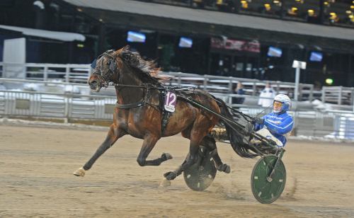 Segermaskin utan ringrost