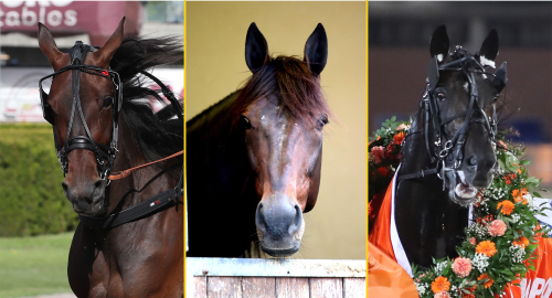 Pd’A: Från 1920 till idag!