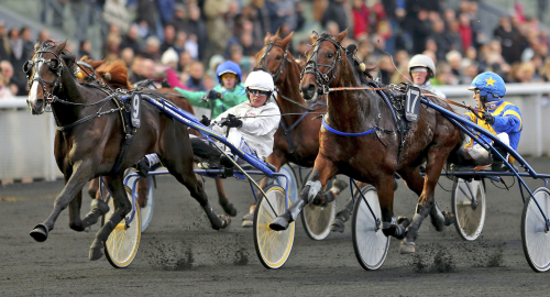 Prix d’Amérique-deltagare död