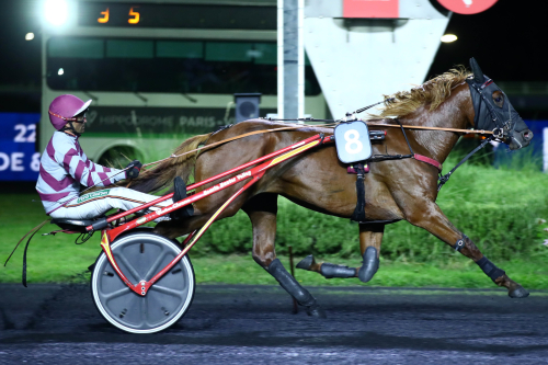 Det våras på Vincennes