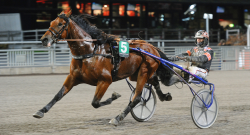 V75-tips: Dubbla spetsspikar