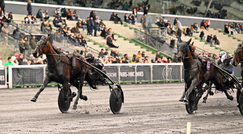 90-oddsare i Vårkriteriet