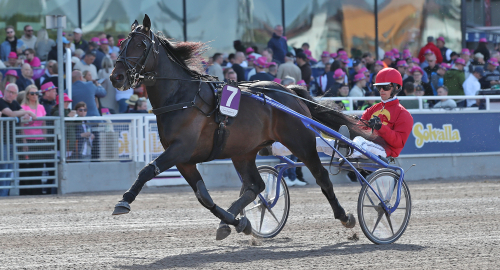 Någon Derbyvinnare i sikte?