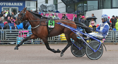 V75-tips: Jackpotspik från hemmaplan