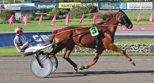 V86: Miljonchans och miljondrag